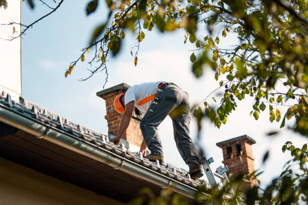 Best Roof Maintenance Services  in Marion, OH