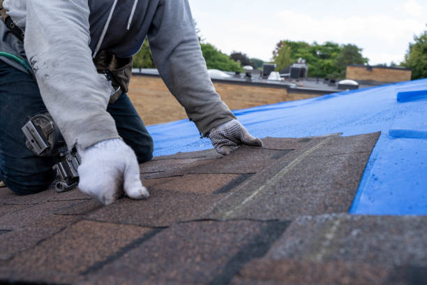 Quick and Trustworthy Emergency Roof Repair Services in Marion, OH